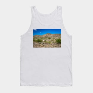 Criollo Cattle on the Open Range Tank Top